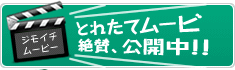 とれたてムービ 絶賛、公開中！！